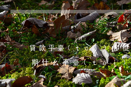 貸款平臺(tái)多從沒(méi)有逾期(什么平臺(tái)逾期很嚴(yán)重也可以貸款)