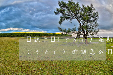 貸款平臺(tái)逾期怎么處理(貸款平臺(tái)逾期怎么處理)