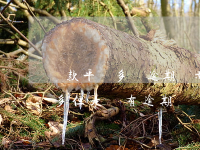 貸款平臺多沒逾期會影響征信嗎-借款平臺多但是沒有逾期