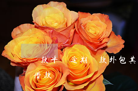 貸款平臺逾期還款外包(其它平臺逾期了還能借款嗎)