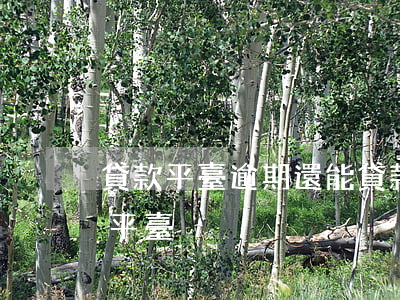 貸款平臺逾期還能貸款(征信逾期還能貸款的平臺)
