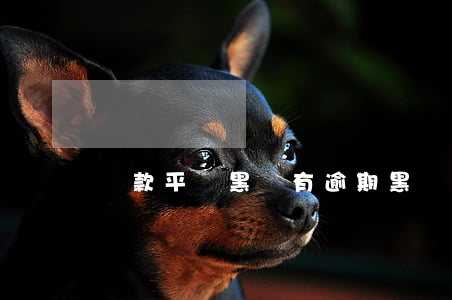 貸款平臺黑戶有逾期(黑戶貸款吧)