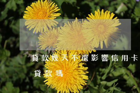貸款幾天不還影響信用卡(信用卡沒還完影響貸款嗎)