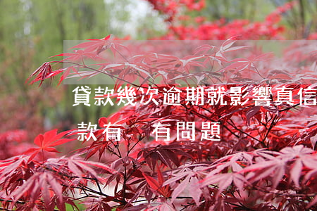 貸款幾次逾期就影響真信(逾期了一次以后貸款有沒有問題)