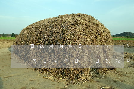 貸款延期后無(wú)力償還會(huì)影響工作嗎-貸款延期后無(wú)力償還會(huì)影響工作嗎知乎