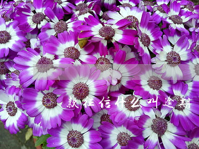 貸款征信什么叫逾期(貸款征信什么叫逾期)