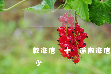 貸款征信幾十塊逾期(征信有6次逾期金額特別小)
