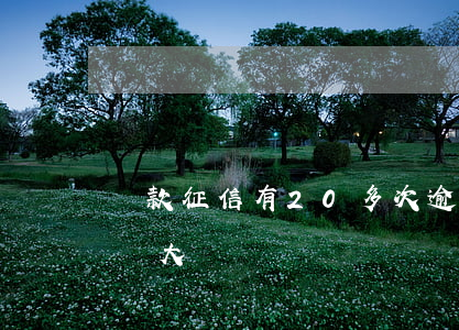 貸款征信有20多次逾期(征信逾期10次影響大嗎)