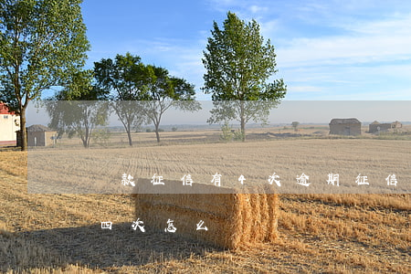 貸款征信有4次逾期(征信連續(xù)逾期四次怎么辦)