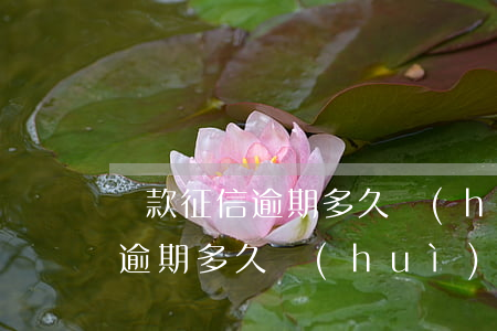 貸款征信逾期多久會(huì)黑(貸款征信逾期多久會(huì)黑)