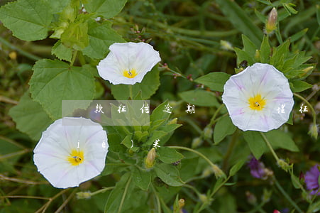 貸款征信逾期異議處理(征信異議處理結(jié)果)