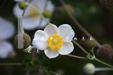 貸款很多還不起怎么辦(貸款太多一輩子還不完怎么辦)