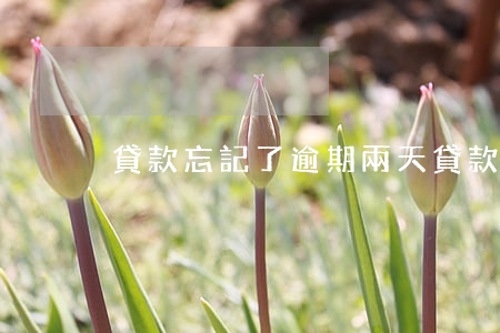 貸款忘記了逾期兩天(貸款逾期2天)