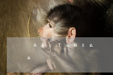 貸款忘記了逾期怎么辦(貸款不小心逾期了怎么辦)