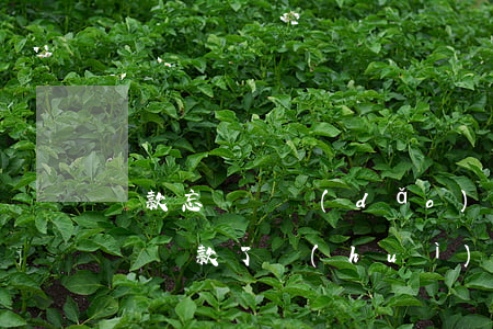 貸款忘記還導(dǎo)致逾期(如果貸款忘記還款了會(huì)有違約記錄嗎)