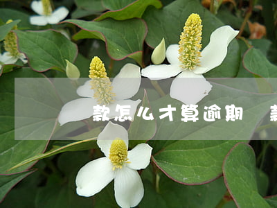 貸款怎么才算逾期還款嗎(還貸款幾天算逾期)