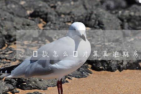 貸款怎么樣才算真逾期(房貸怎么樣算逾期)