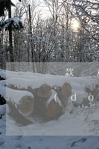 貸款惡意逾期幾年消除(貸款逾期多少年自動(dòng)消除)
