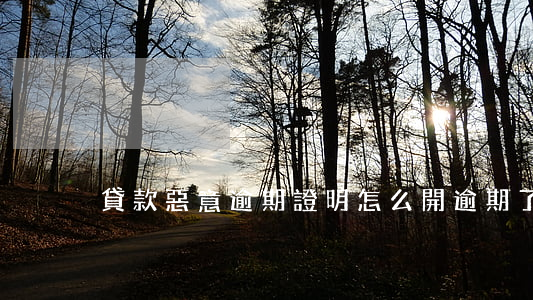 貸款惡意逾期證明怎么開(逾期了怎么開證明)