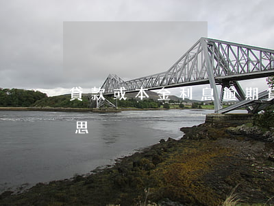 貸款或本金利息逾期(貸款逾期本息是什么意思)