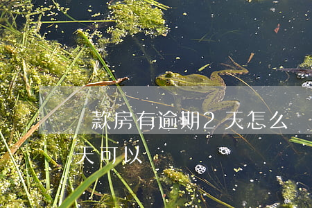 貸款房有逾期2天怎么辦(請問房貸逾期一兩天可以嗎)