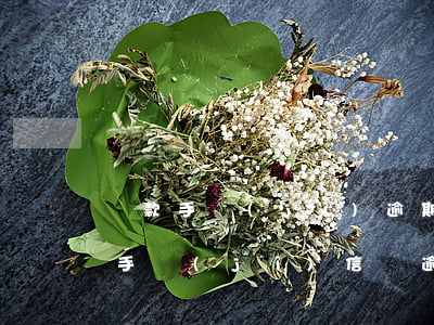 貸款手機(jī)逾期會(huì)怎么樣(手機(jī)信貸逾期對(duì)今后貸款有沒有影響)
