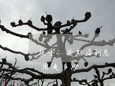 貸款手機逾期后利息過高合法嗎（手機貸逾期費用是多少）