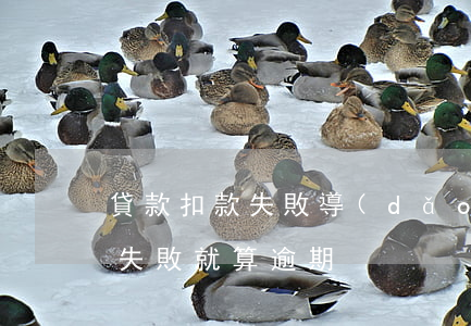 貸款扣款失敗導(dǎo)致逾期(銀行扣款失敗就算逾期)