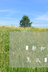 貸款扣款失敗逾期怎么辦(住房貸款扣款失敗怎么辦)