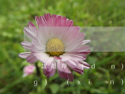 貸款抵押擔(dān)保有哪些風(fēng)險(xiǎn)