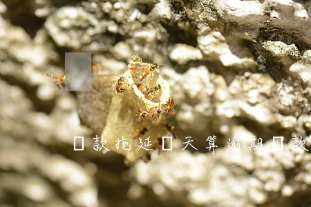貸款拖延幾天算逾期(貸款拖延幾天算逾期)