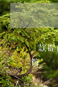 貸款提前還款也算逾期嗎(銀行貸款提前還款算違約嗎?)