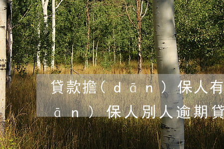 貸款擔(dān)保人有逾期行嗎(做擔(dān)保人別人逾期貸款會(huì)受到影響嗎)