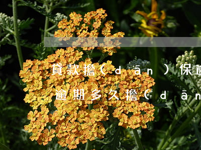 貸款擔(dān)保逾期多久上征信(貸款人逾期多久擔(dān)保人上征信)