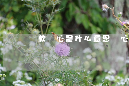 貸款擔心是什么意思（擔心貸款還不起怎么辦）