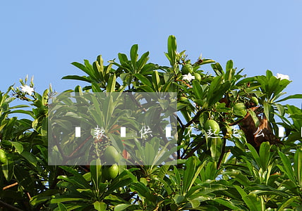 貸款斷供還不起怎么辦(貸款 斷供)