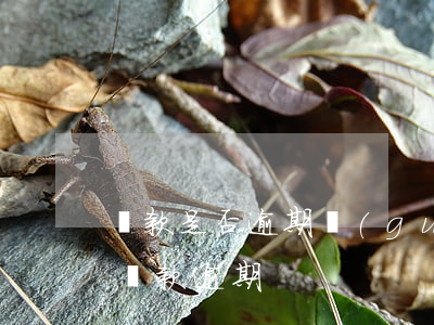 貸款是否逾期關(guān)鍵是在(什么是貸款逾期)