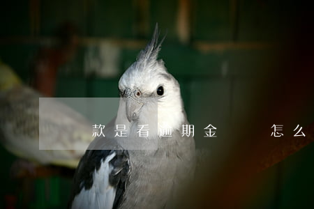 貸款是看逾期金額嗎(怎么看房貸有沒有逾期)