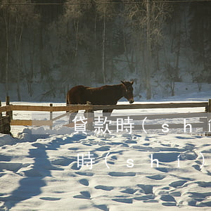 貸款時(shí)信用卡有逾期怎么辦(貸款時(shí)信用卡有逾期怎么辦)