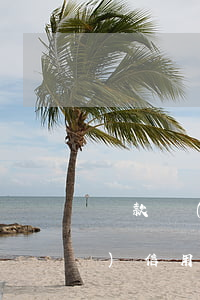 貸款時(shí)發(fā)現(xiàn)信用卡存在逾期(貸款逾期與信用卡逾期的后果是什么)