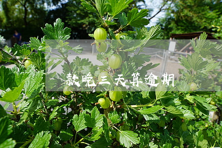 貸款晚三天算逾期嗎