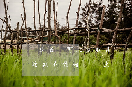 貸款最長可以逾期月數(shù)(銀行貸款逾期不能超過幾次)