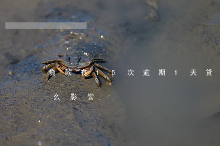 貸款有15次逾期1天(貸款逾期15天有什么影響)