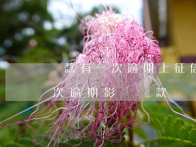 貸款有一次逾期上征信嗎(征信報告顯示有一次逾期影響貸款嗎)