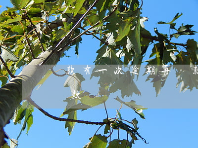 貸款有一次逾期再貸款(房貸逾期多少次不能貸款)
