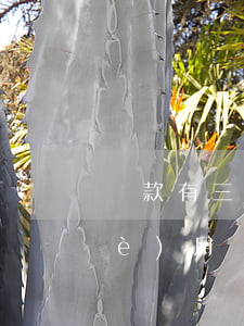 貸款有三次逾期能貸款嗎(貸款逾期三個(gè)月)