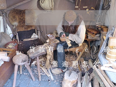 貸款有個(gè)逾期怎么辦(貸款嚴(yán)重逾期怎么辦)