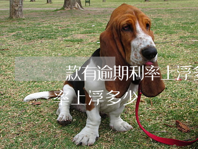貸款有逾期利率上浮多少(信用卡逾期貸款利率上浮多少)