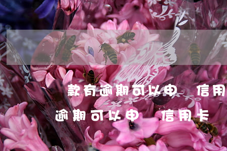 貸款有逾期可以申請信用卡嗎貼吧-貸款有逾期可以申請信用卡嗎貼吧