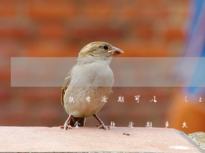 貸款有逾期可以轉(zhuǎn)公積金(公積金貸款逾期多久會(huì)被起訴)